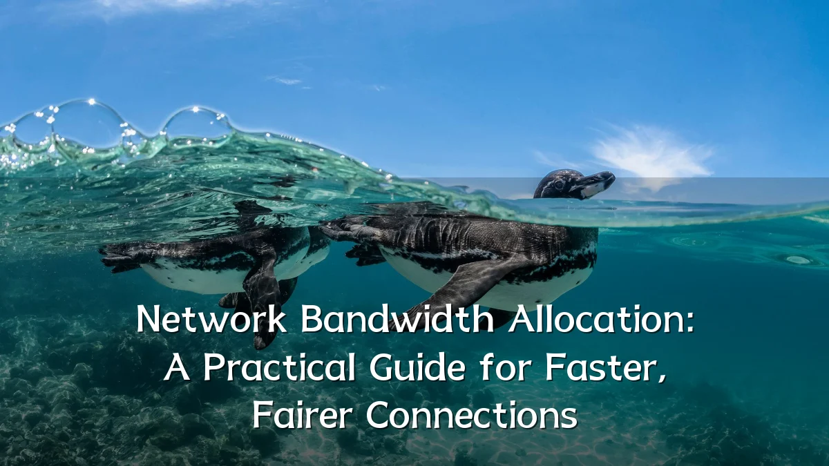 Network Bandwidth Allocation: A Practical Guide for Faster, Fairer Connections