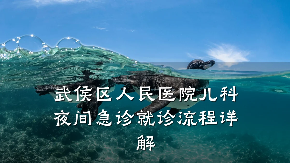 武侯区人民医院儿科夜间急诊就诊流程详解