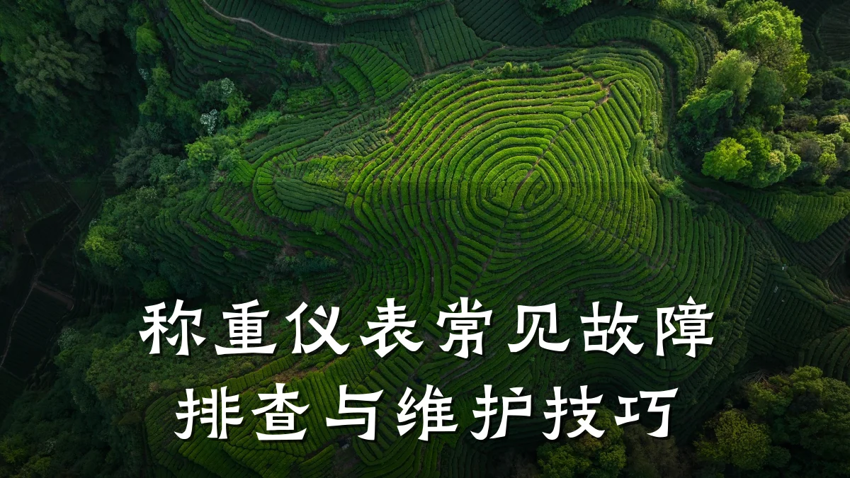 称重仪表常见故障排查与维护技巧
