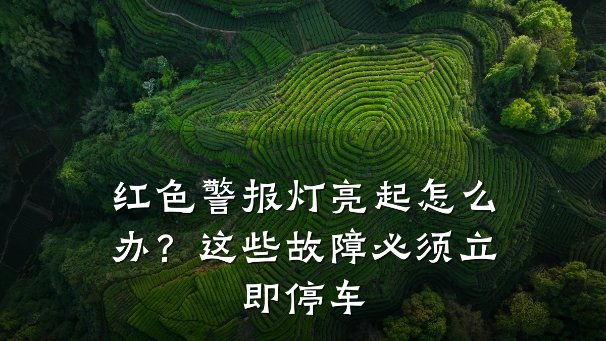 红色警报灯亮起怎么办?这些故障必须立即停车