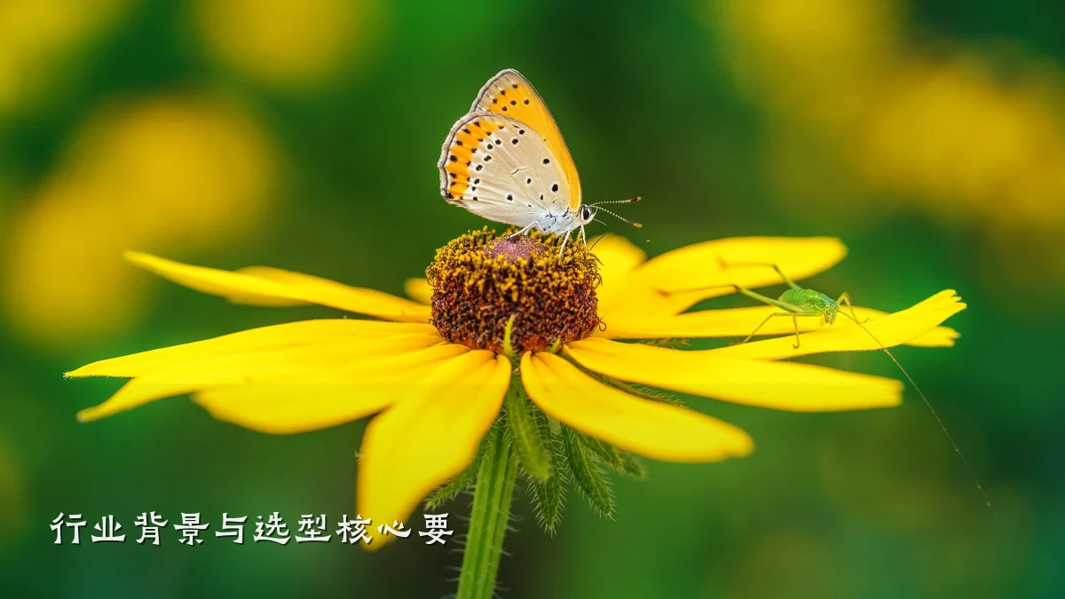 行业背景与选型核心要