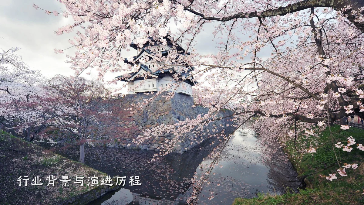 行业背景与演进历程