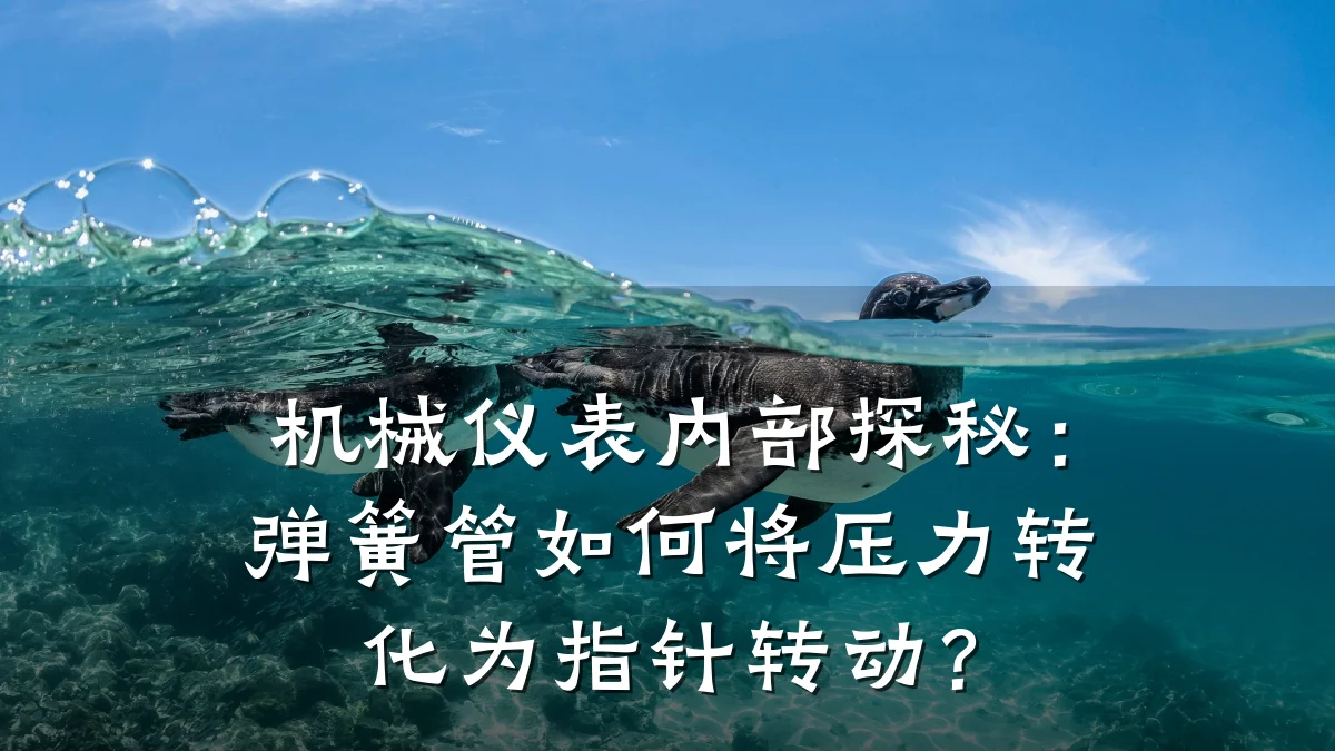 机械仪表内部探秘:弹簧管如何将压力转化为指针转动?