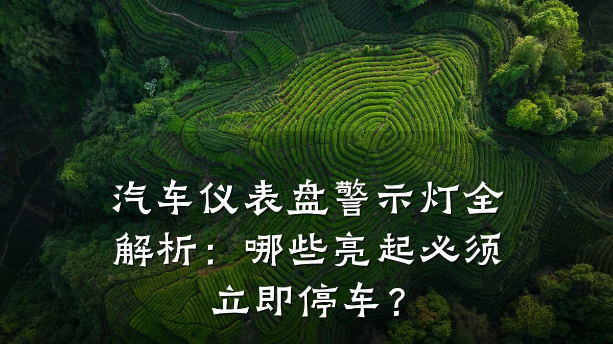 汽车仪表盘警示灯全解析:哪些亮起必须立即停车?