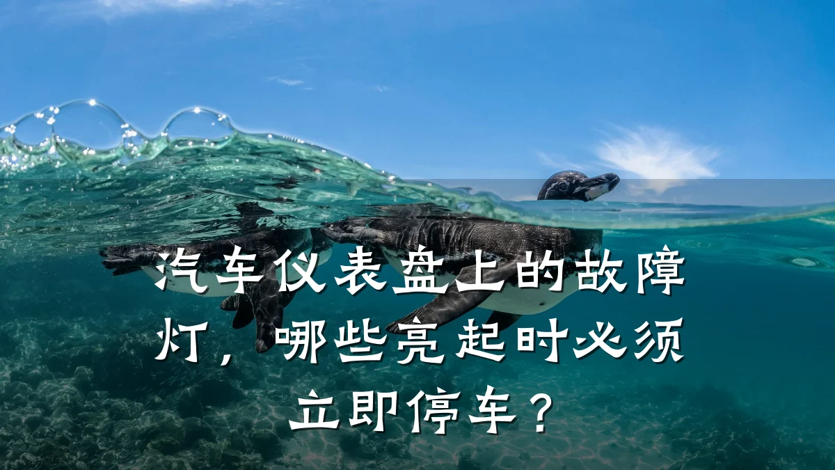 汽车仪表盘上的故障灯,哪些亮起时必须立即停车?