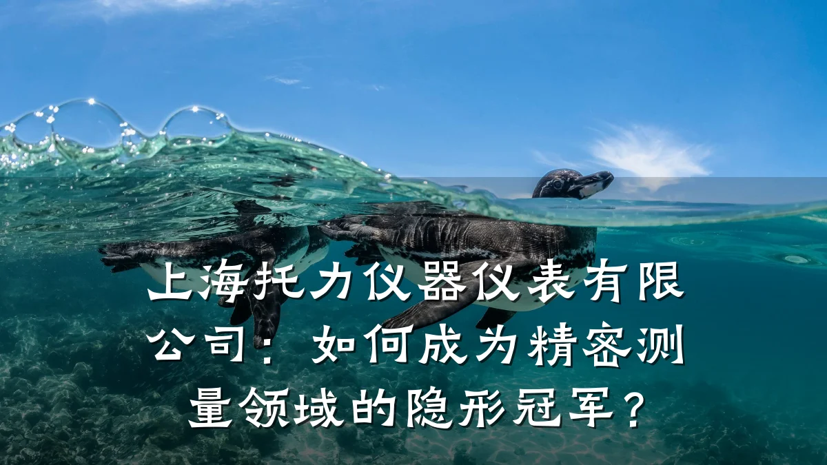 上海托力仪器仪表有限公司:如何成为精密测量领域的隐形冠军?
