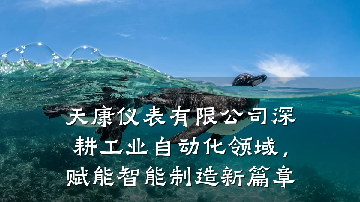 天康仪表有限公司深耕工业自动化领域,赋能智能制造新篇章