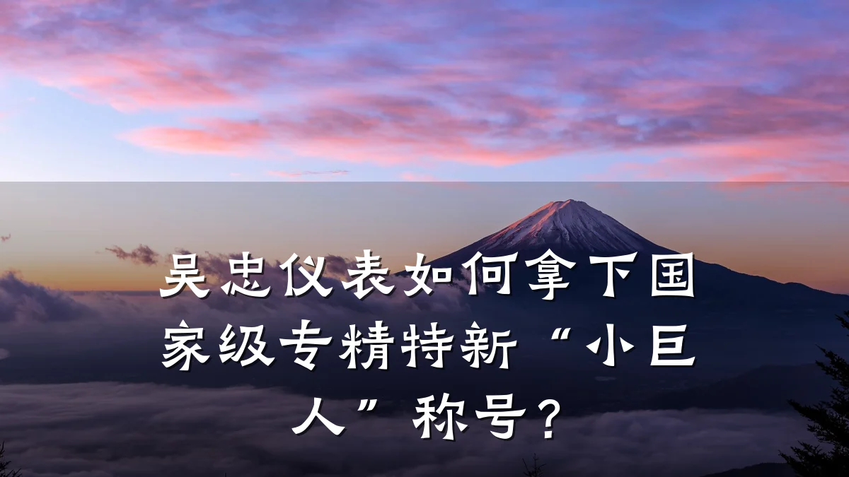 吴忠仪表如何拿下国家级专精特新“小巨人”称号?