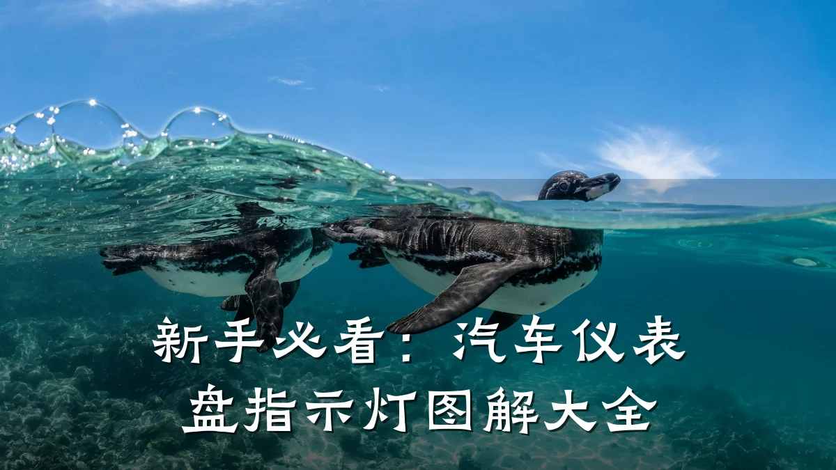 新手必看:汽车仪表盘指示灯图解大全