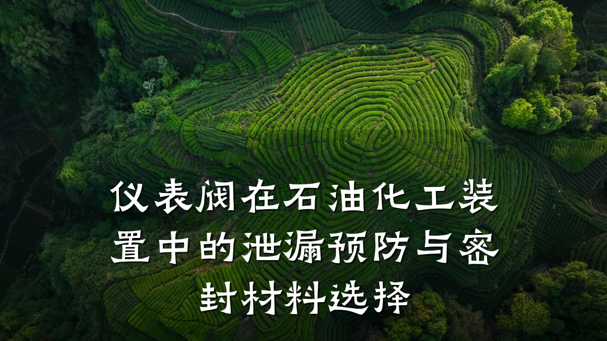 仪表阀在石油化工装置中的泄漏预防与密封材料选择