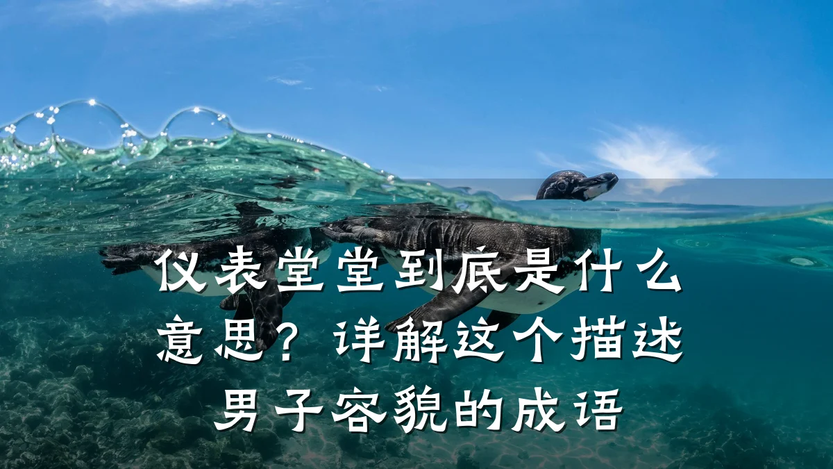仪表堂堂到底是什么意思?详解这个描述男子容貌的成语