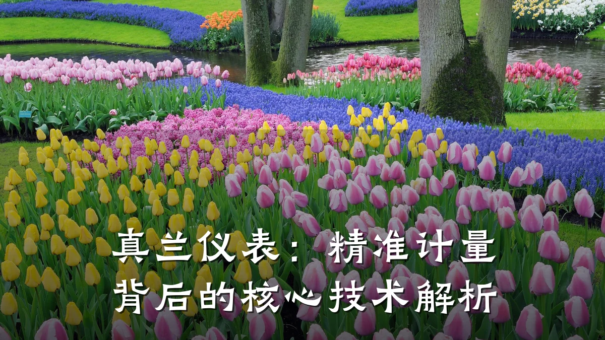 真兰仪表:精准计量背后的核心技术解析