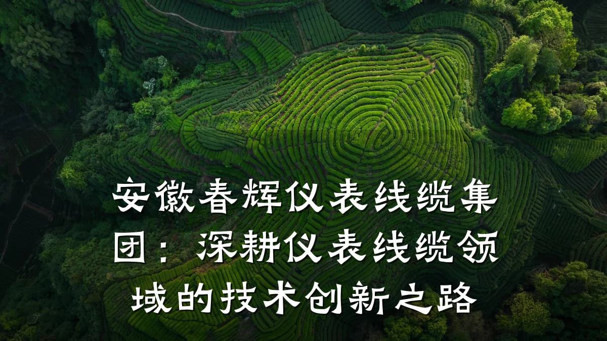 安徽春辉仪表线缆集团:深耕仪表线缆领域的技术创新之路