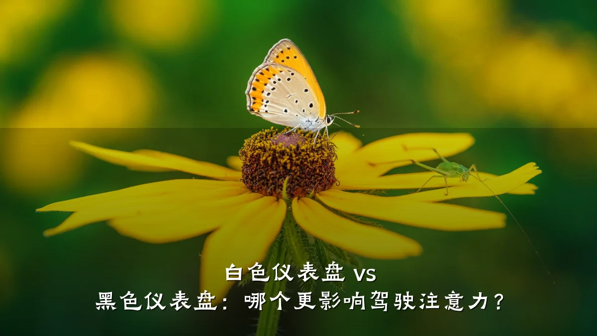 白色仪表盘 vs 黑色仪表盘:哪个更影响驾驶注意力?
