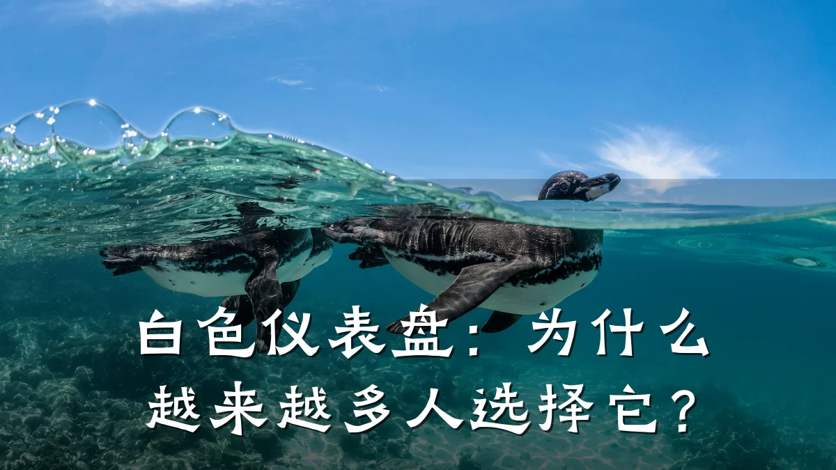 白色仪表盘:为什么越来越多人选择它?