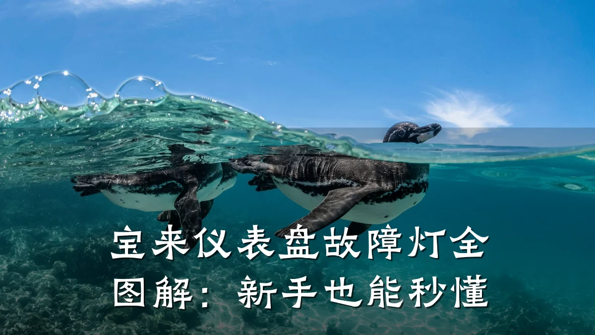 宝来仪表盘故障灯全图解：新手也能秒懂