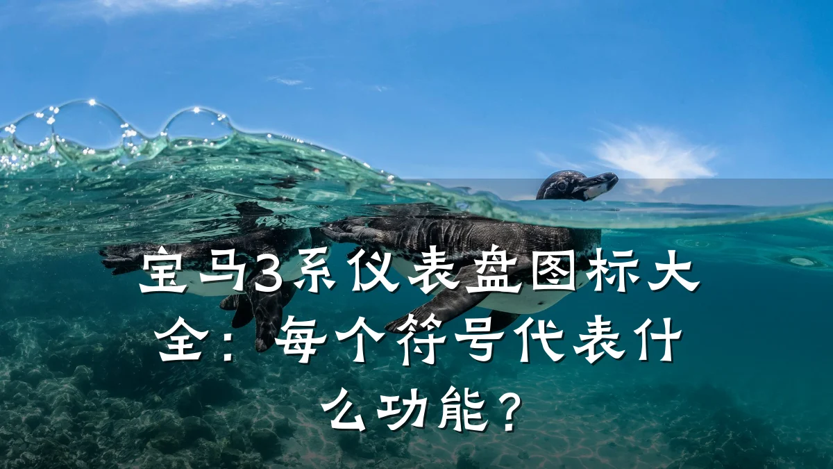宝马3系仪表盘图标大全:每个符号代表什么功能?