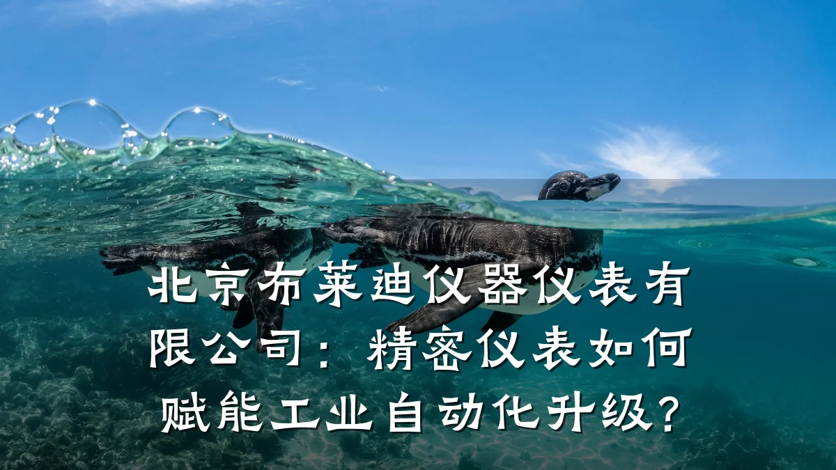 北京布莱迪仪器仪表有限公司：精密仪表如何赋能工业自动化升级？