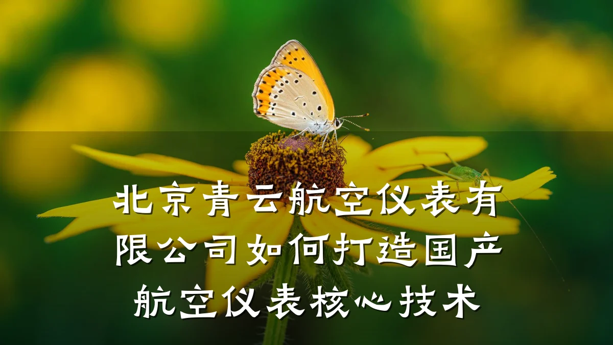 北京青云航空仪表有限公司如何打造国产航空仪表核心技术
