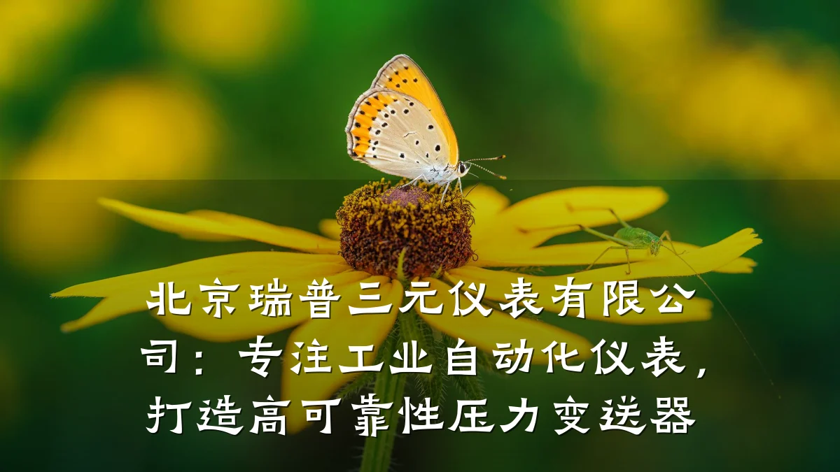 北京瑞普三元仪表有限公司:专注工业自动化仪表,打造高可靠性压力变送器