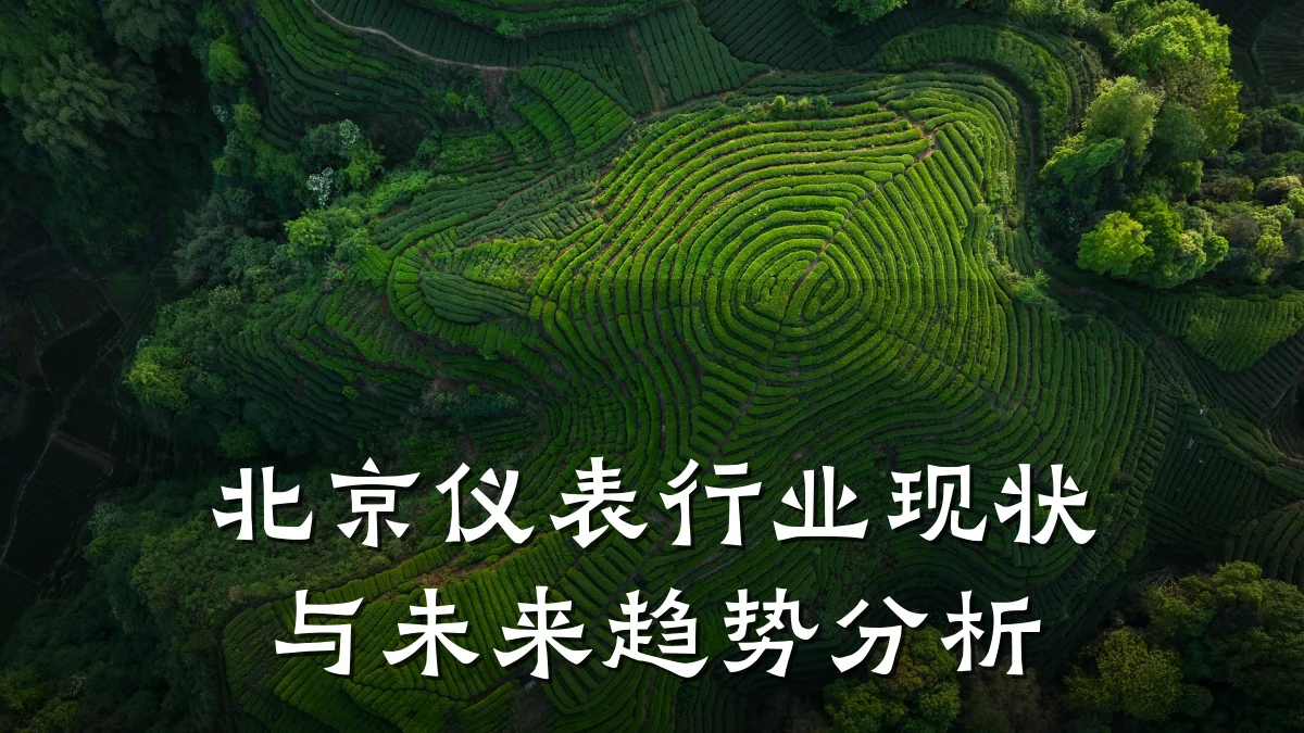 北京仪表行业现状与未来趋势分析