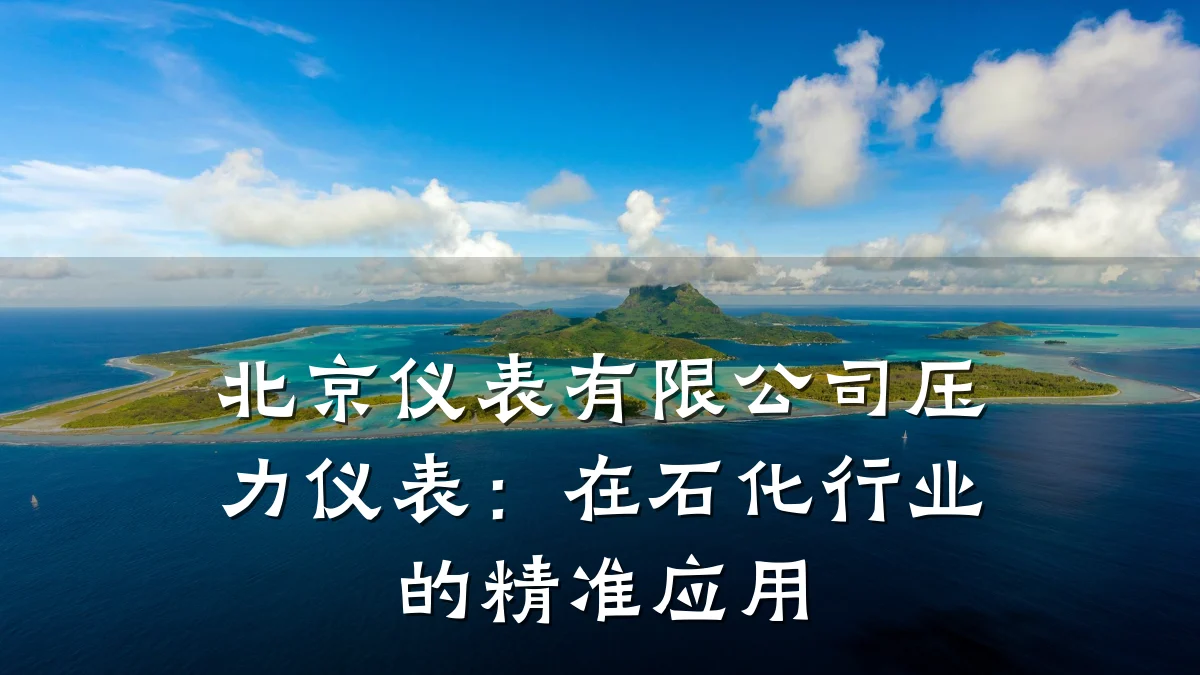 北京仪表有限公司压力仪表:在石化行业的精准应用