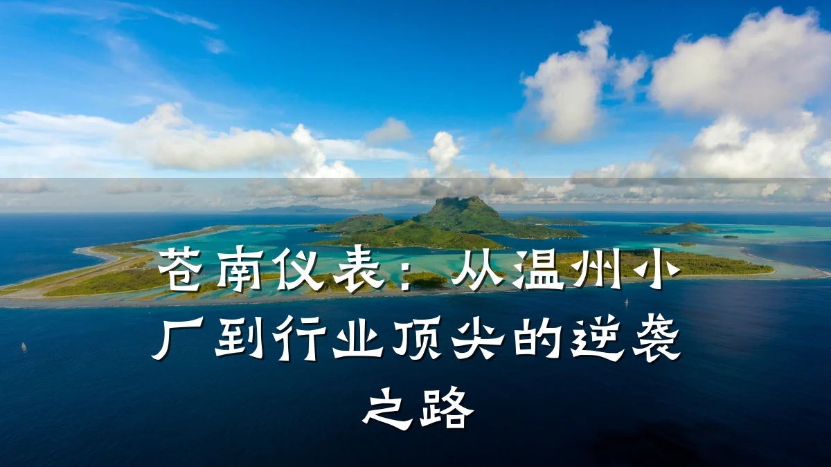 苍南仪表:从温州小厂到行业顶尖的逆袭之路