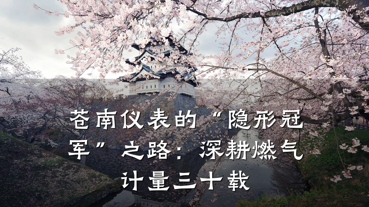 苍南仪表的“隐形冠军”之路:深耕燃气计量三十载