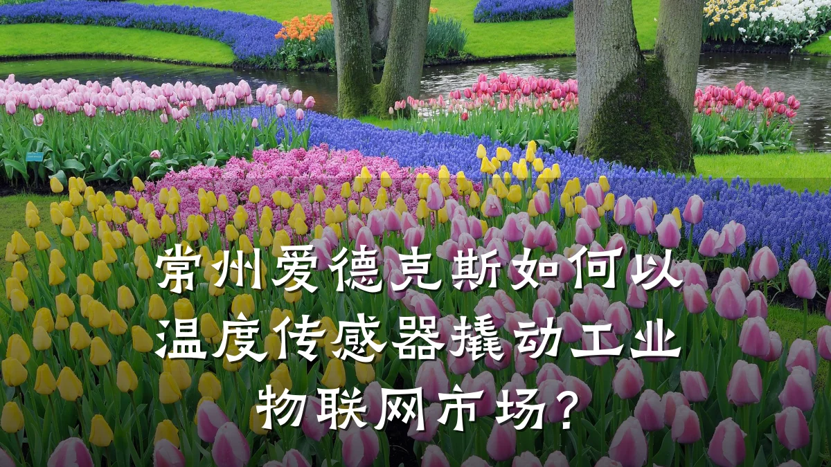 常州爱德克斯如何以温度传感器撬动工业物联网市场?