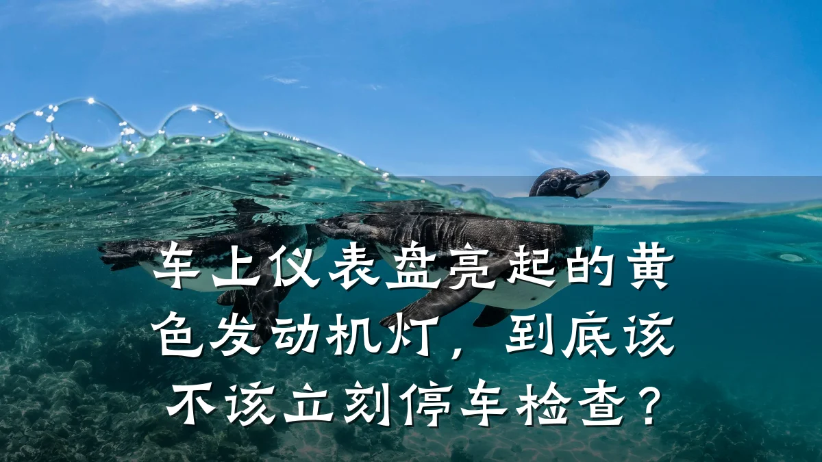 车上仪表盘亮起的黄色发动机灯,到底该不该立刻停车检查?