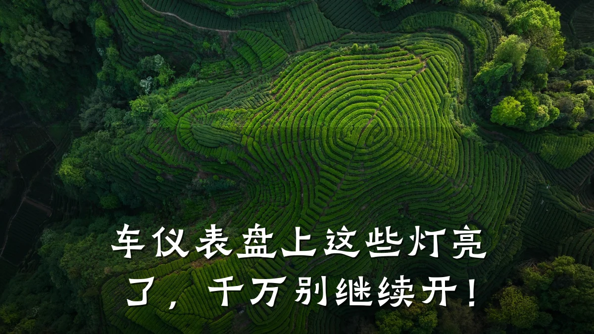 车仪表盘上这些灯亮了，千万别继续开！