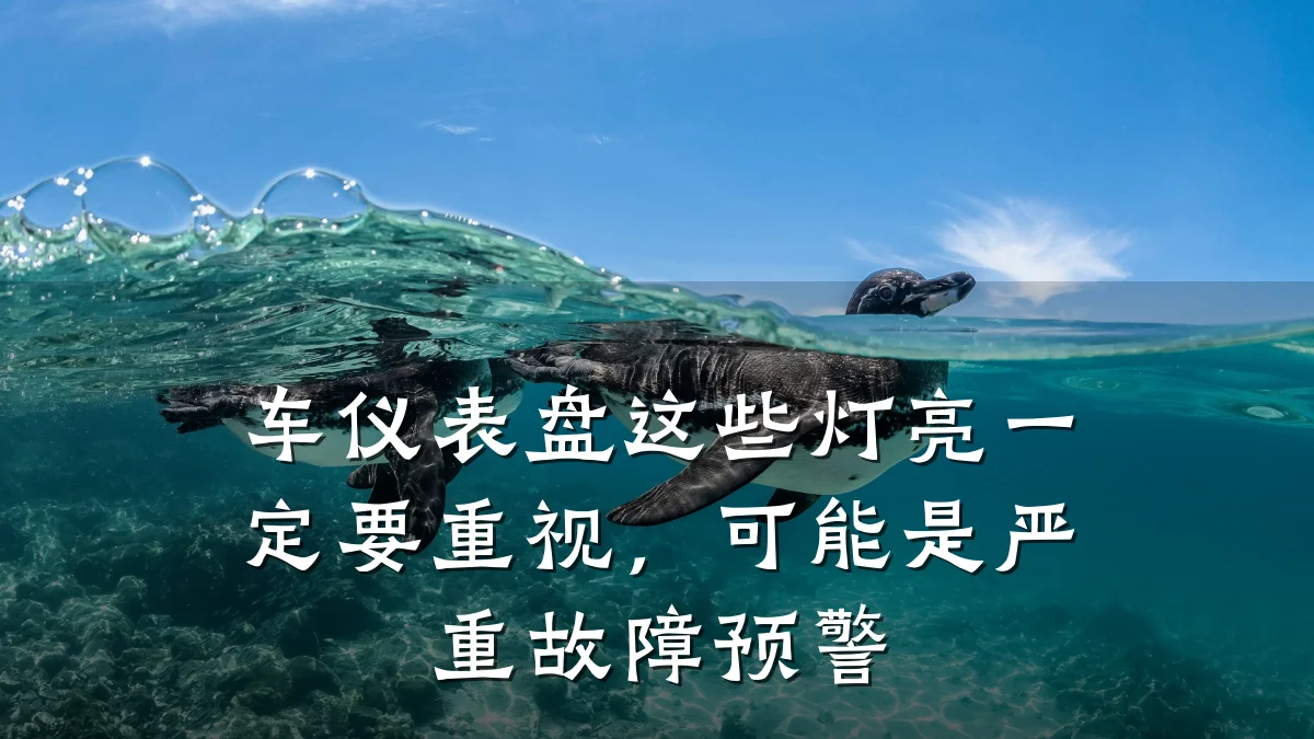 车仪表盘这些灯亮一定要重视,可能是严重故障预警