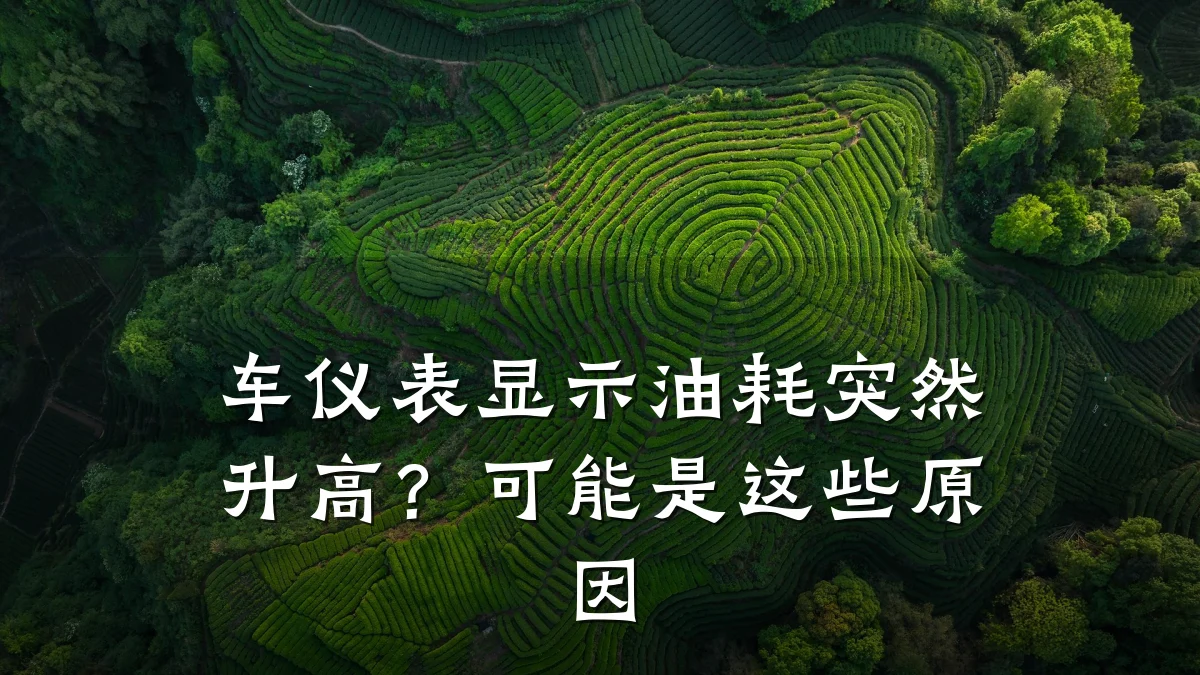 车仪表显示油耗突然升高?可能是这些原因