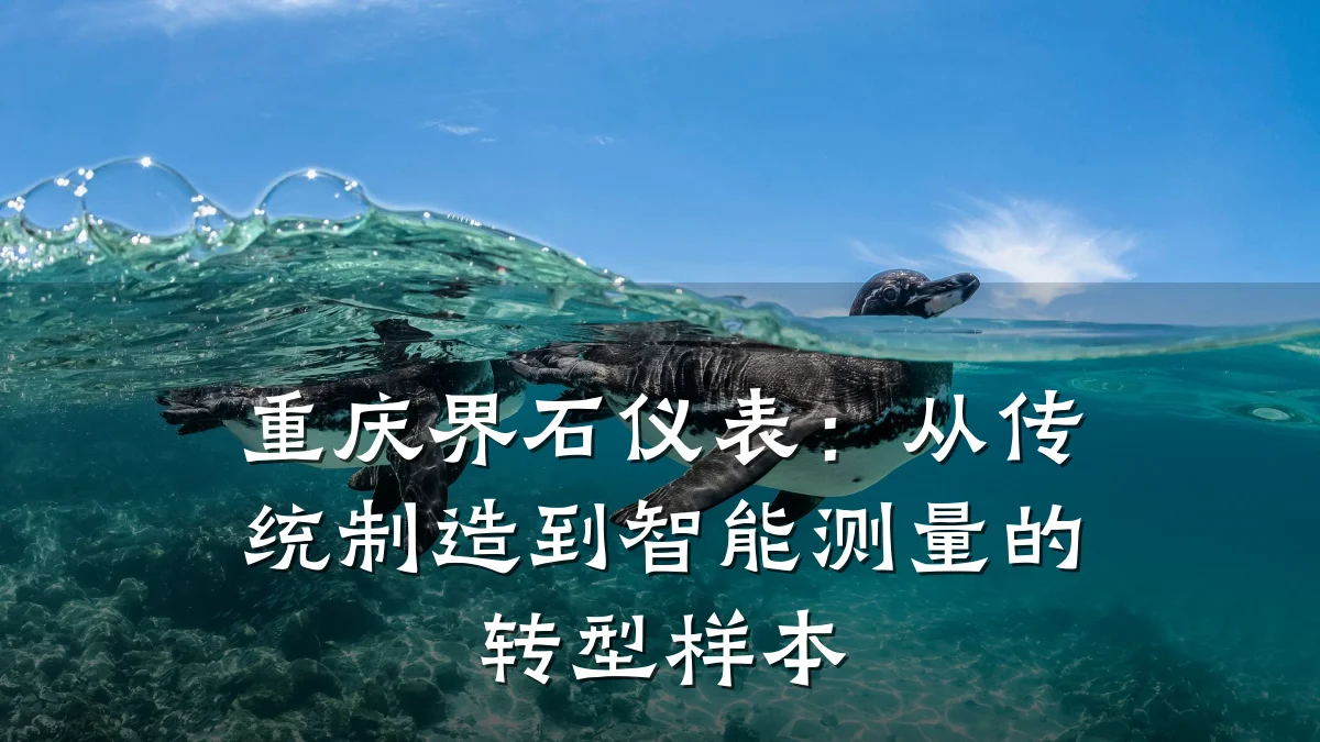 重庆界石仪表:从传统制造到智能测量的转型样本