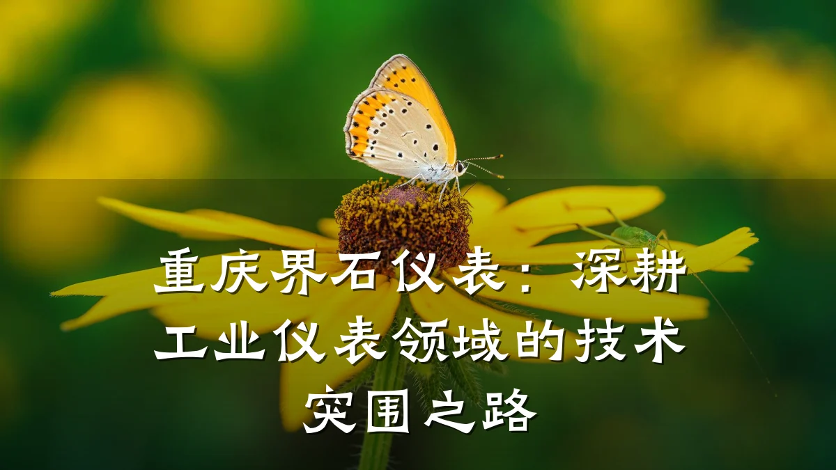 重庆界石仪表:深耕工业仪表领域的技术突围之路