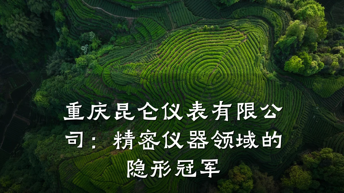 重庆昆仑仪表有限公司:精密仪器领域的隐形冠军
