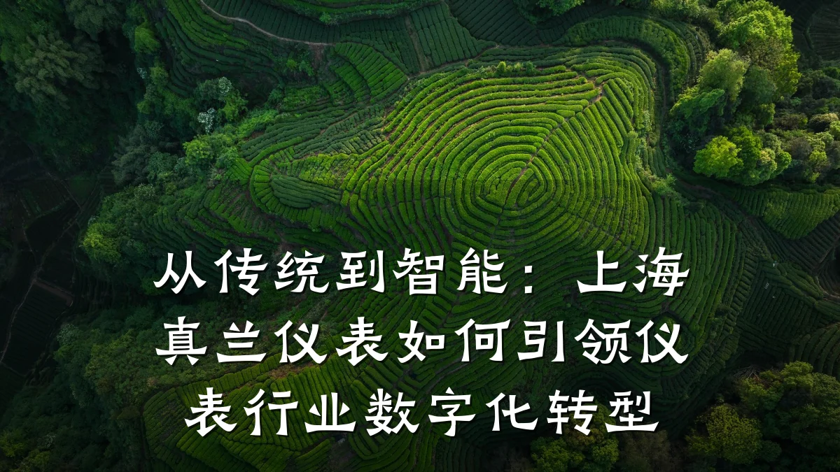 从传统到智能:上海真兰仪表如何引领仪表行业数字化转型
