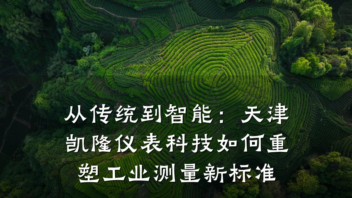 从传统到智能：天津凯隆仪表科技如何重塑工业测量新标准