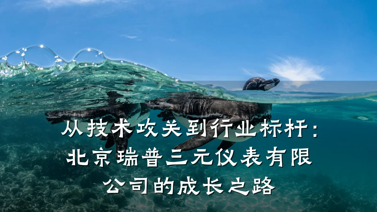 从技术攻关到行业标杆:北京瑞普三元仪表有限公司的成长之路