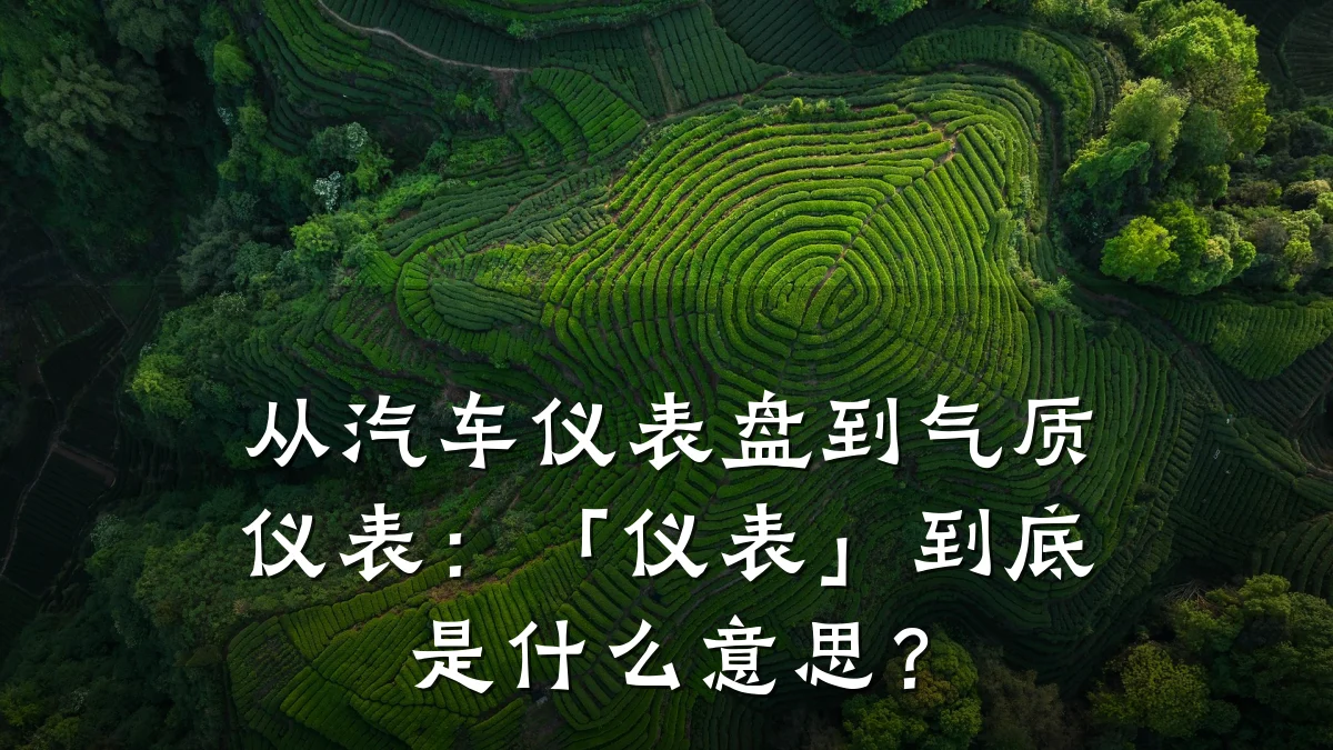 从汽车仪表盘到气质仪表:「仪表」到底是什么意思?