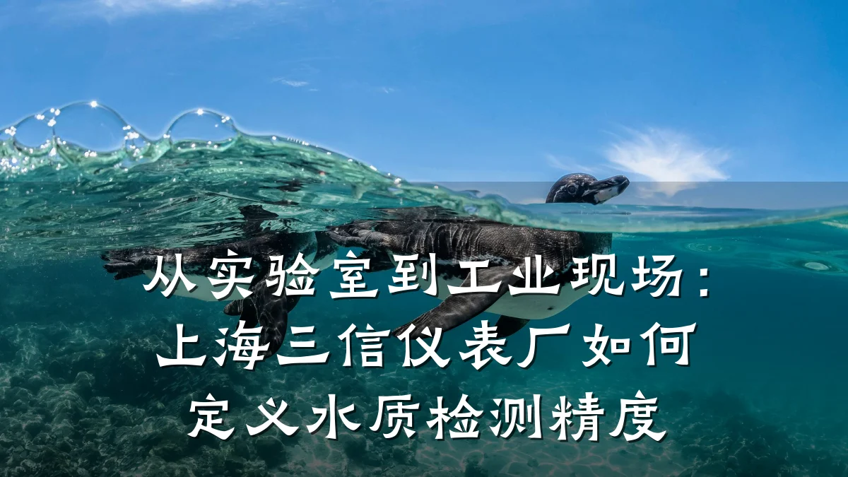 从实验室到工业现场:上海三信仪表厂如何定义水质检测精度