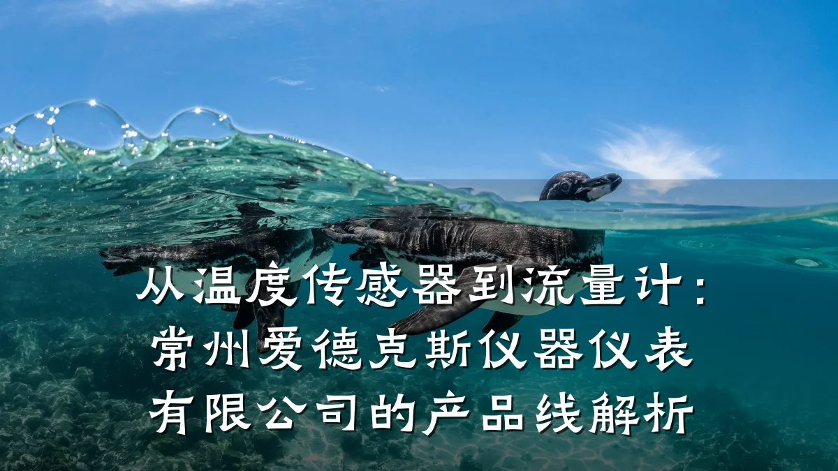 从温度传感器到流量计:常州爱德克斯仪器仪表有限公司的产品线解析
