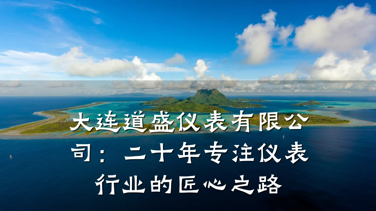 大连道盛仪表有限公司:二十年专注仪表行业的匠心之路