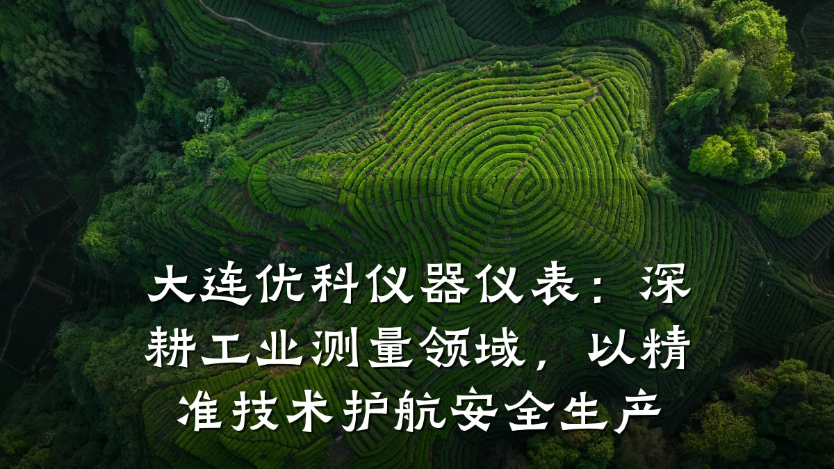 大连优科仪器仪表：深耕工业测量领域，以精准技术护航安全生产