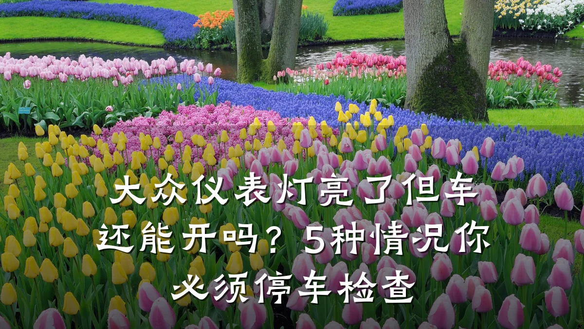 大众仪表灯亮了但车还能开吗?5种情况你必须停车检查