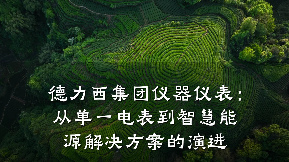 德力西集团仪器仪表:从单一电表到智慧能源解决方案的演进