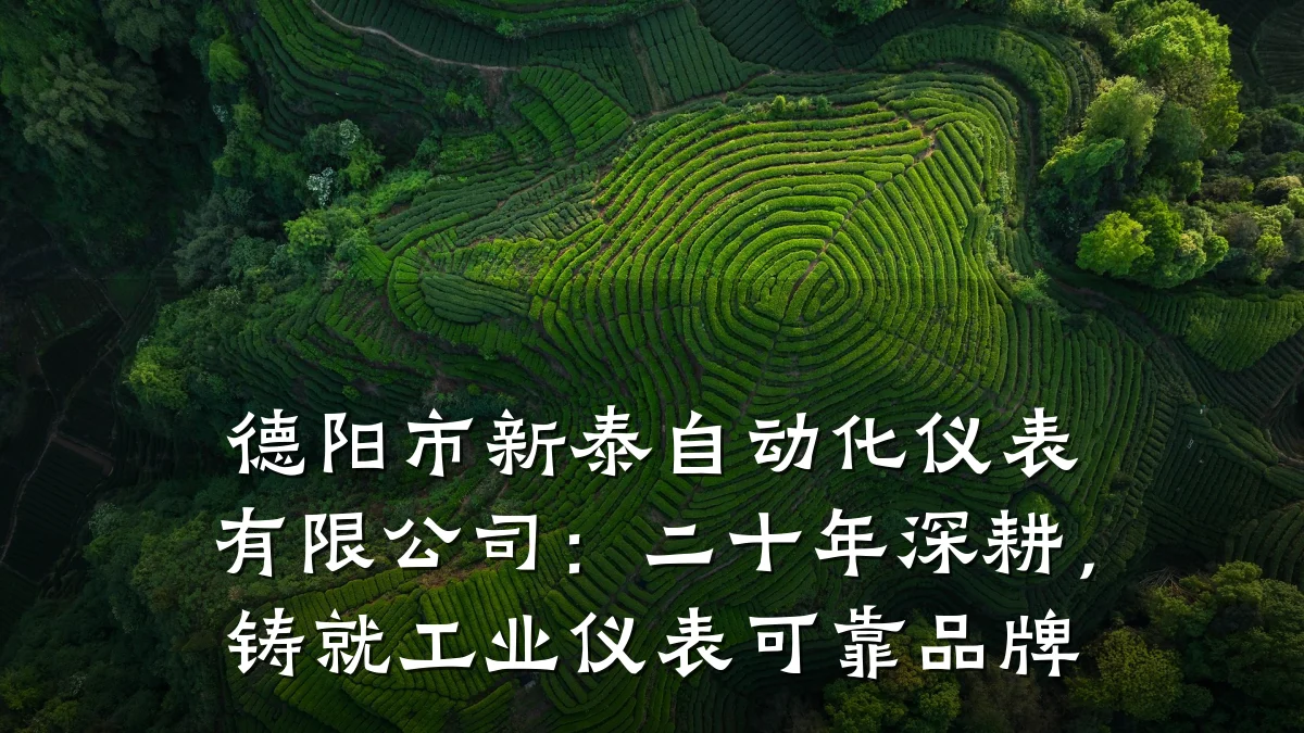 德阳市新泰自动化仪表有限公司:二十年深耕,铸就工业仪表可靠品牌