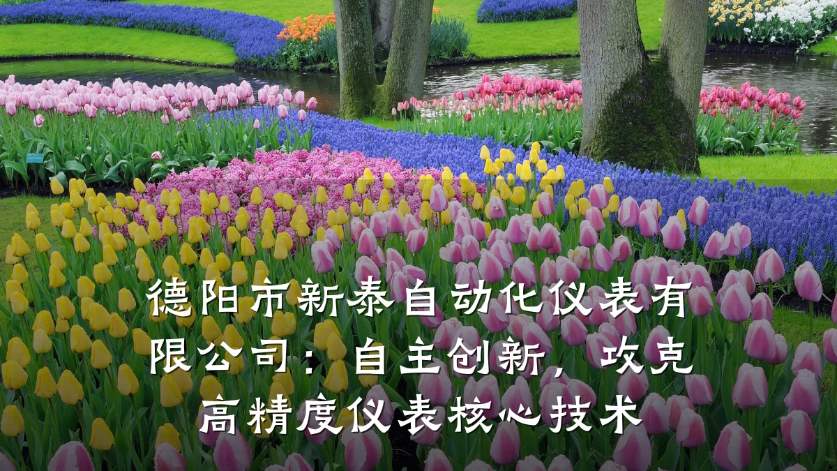 德阳市新泰自动化仪表有限公司:自主创新,攻克高精度仪表核心技术