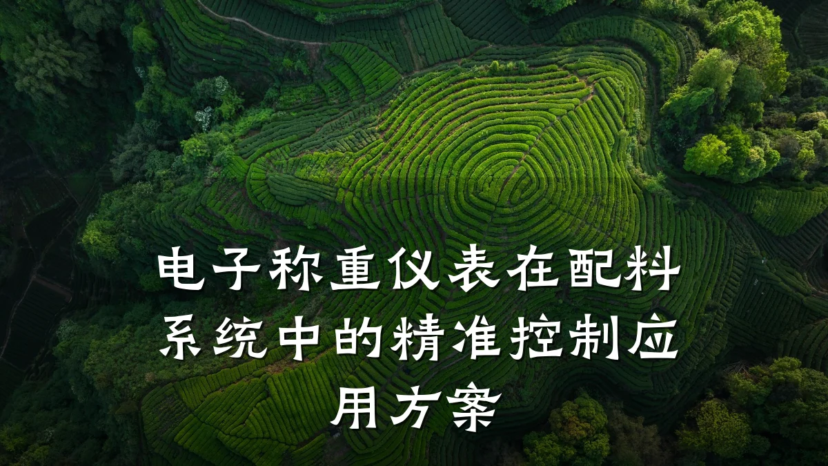 电子称重仪表在配料系统中的精准控制应用方案