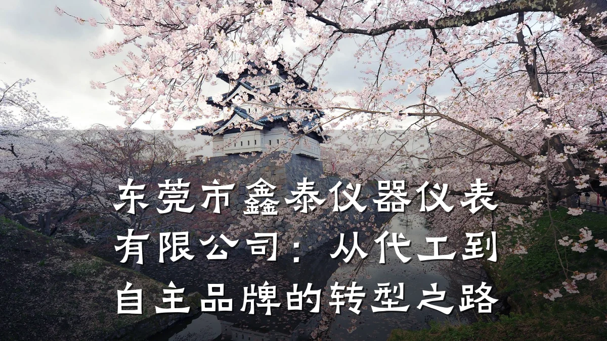 东莞市鑫泰仪器仪表有限公司:从代工到自主品牌的转型之路
